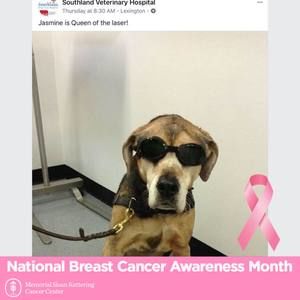 Meet your Posher, Deanna